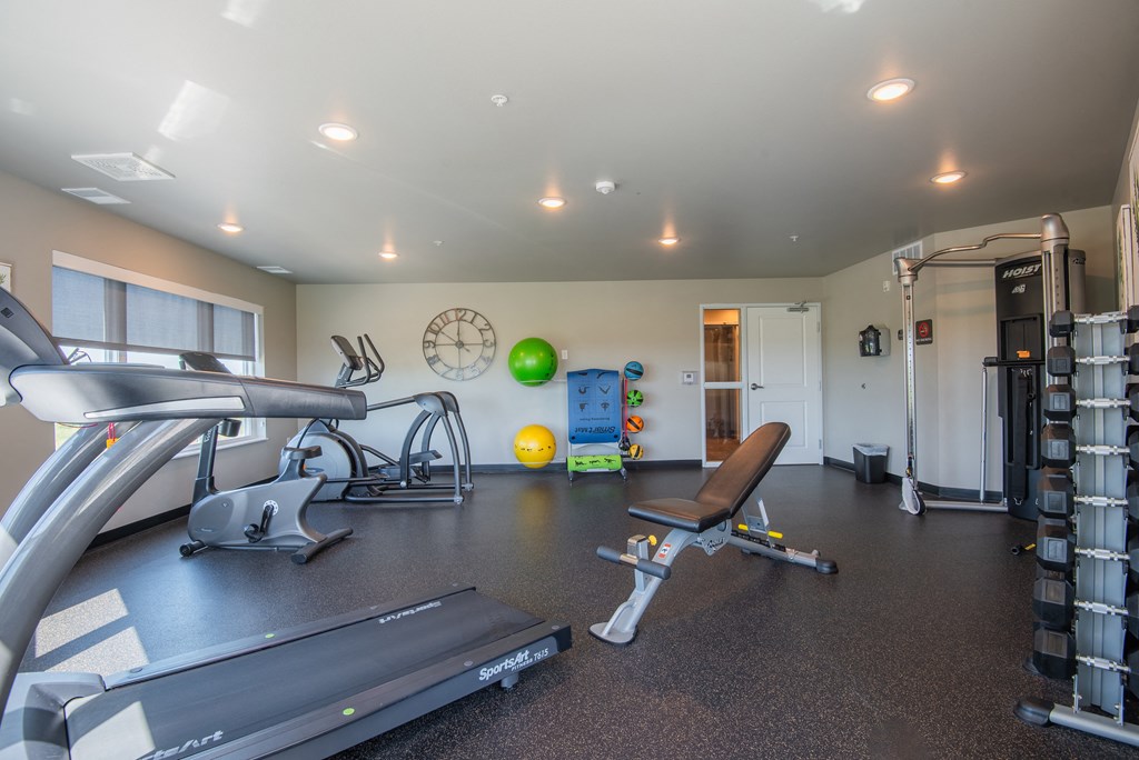 A gym with treadmills, weights, and exercise balls.