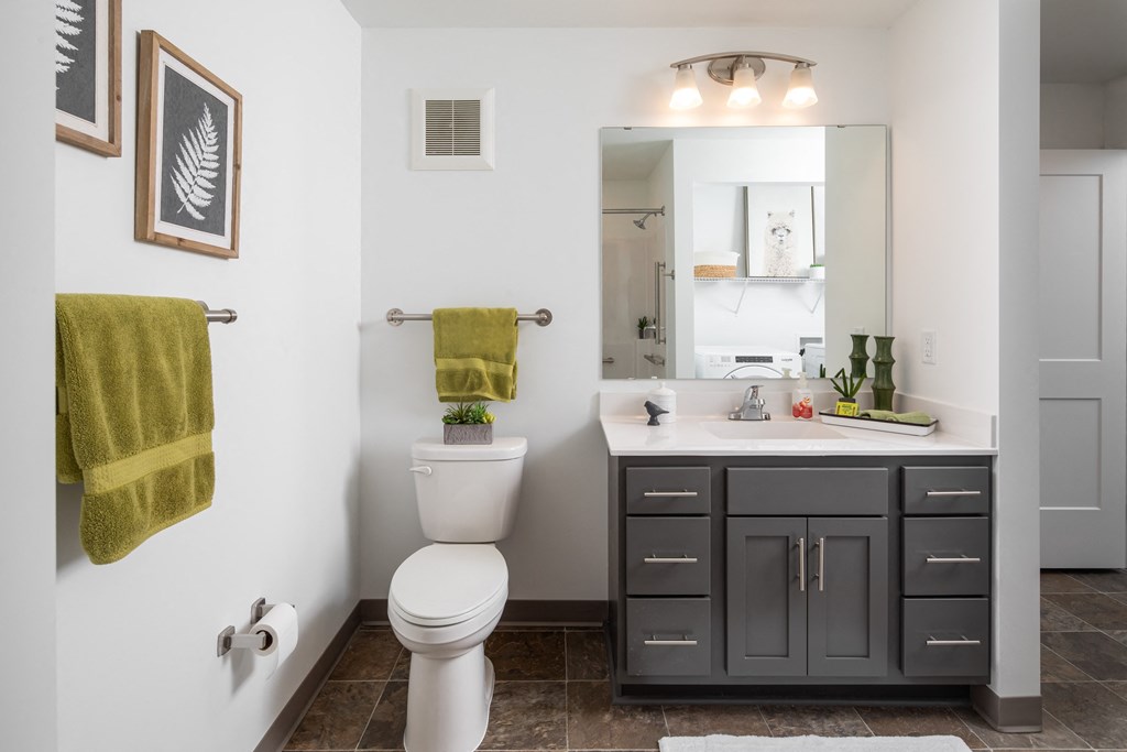 a bathroom with a toilet and a sink and a mirror