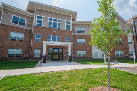 A tree stands in front of a building with the number 875 on it.