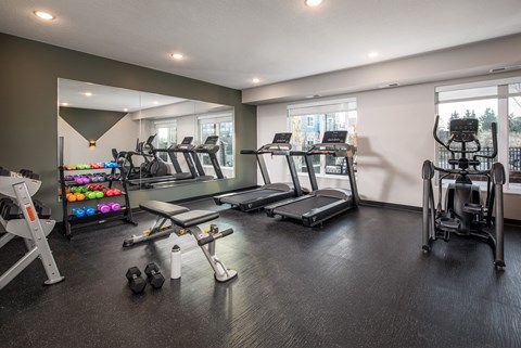 A spacious gym with treadmills, exercise bikes, and dumbbells.