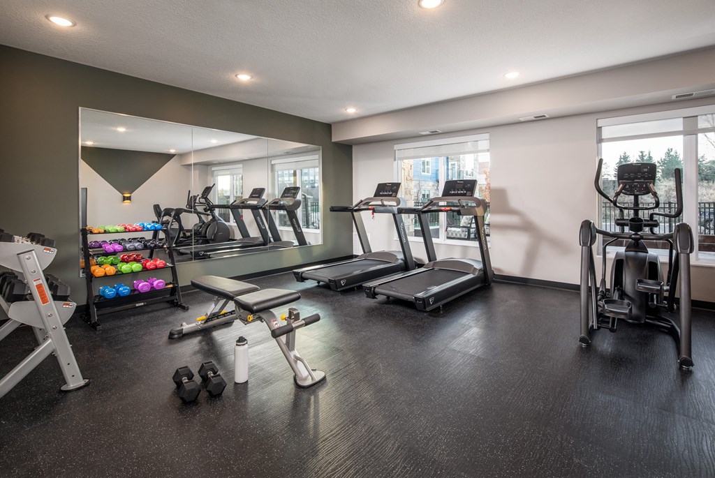 A spacious gym with treadmills, exercise bikes, and dumbbells.