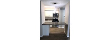 1 bdr downstairs kitchen