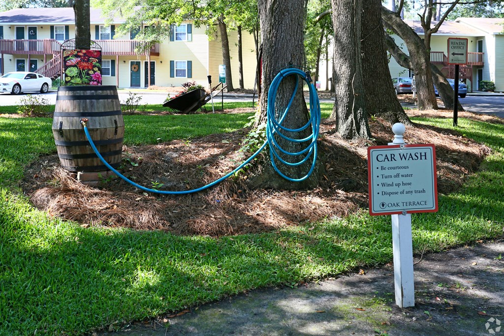a car wash hose is plugged into a tree