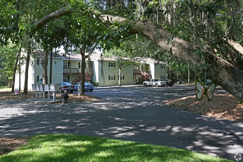 a city street with a large tree in front of a building