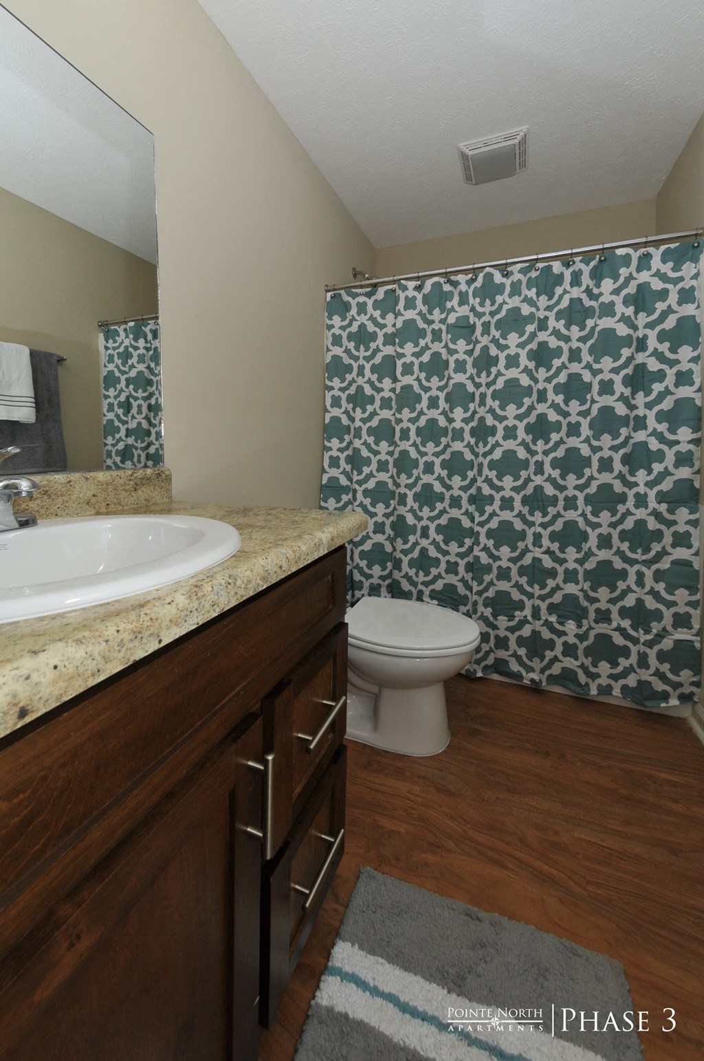 a bathroom with a sink and a toilet