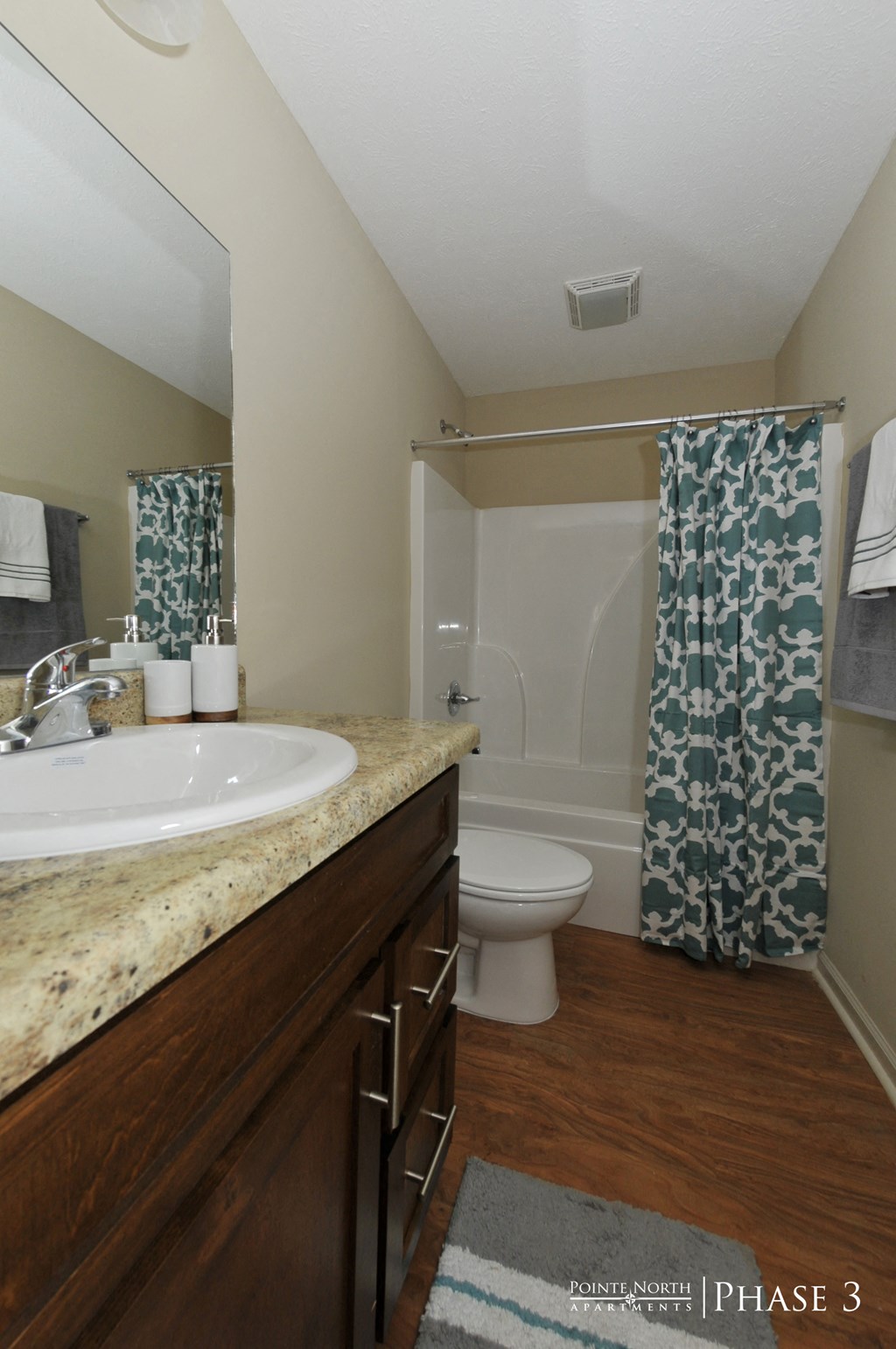 a bathroom with a sink and a toilet and a shower