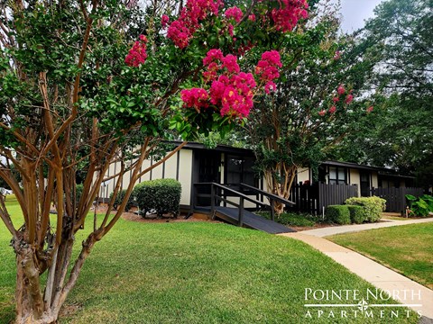 a small house with pink flowering trees in front of it