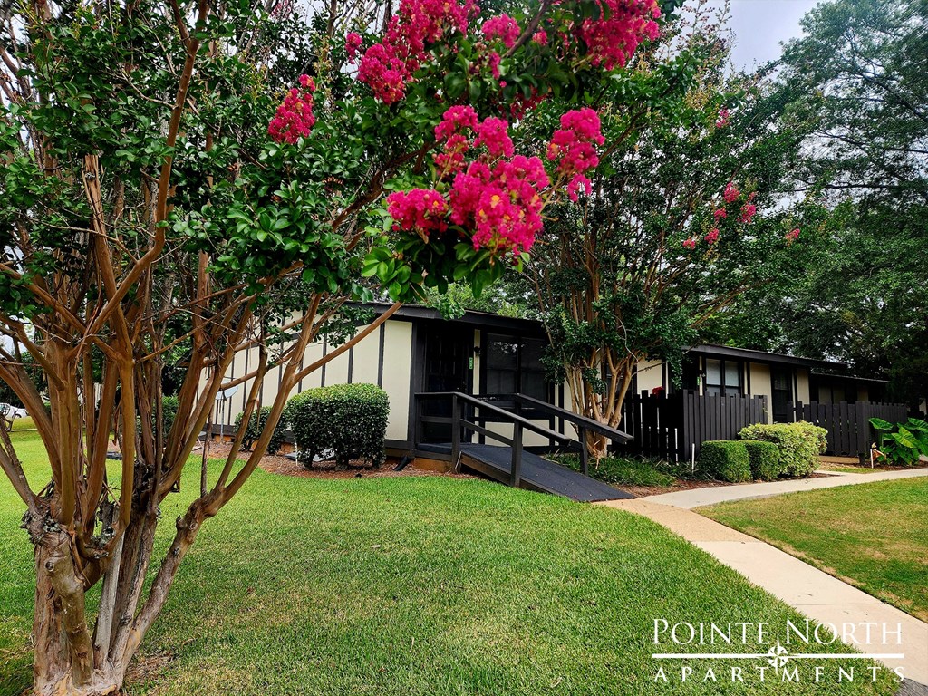 a small house with pink flowering trees in front of it