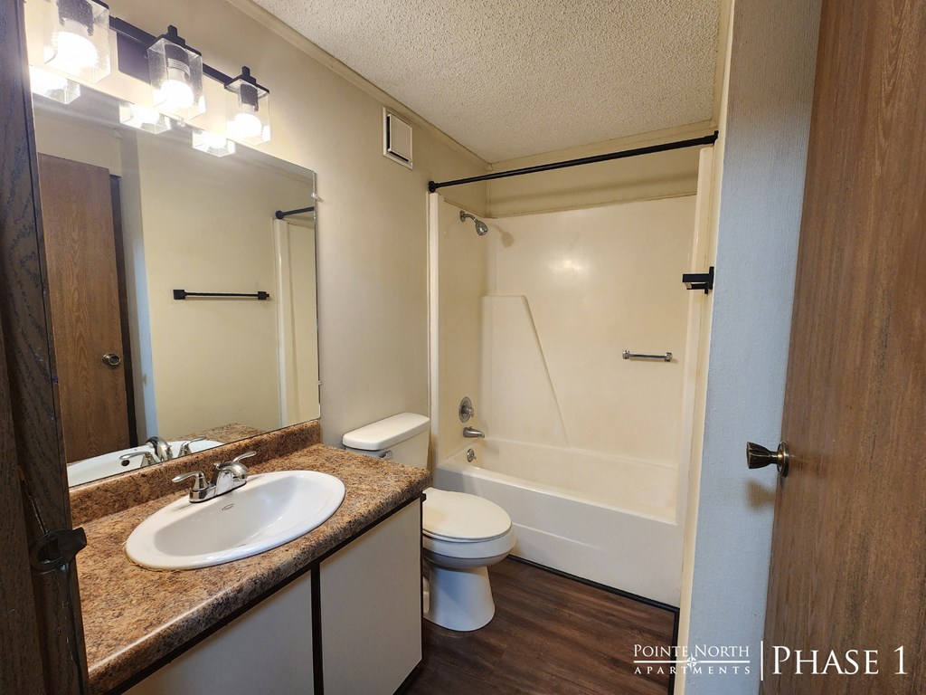 a bathroom with a sink and a toilet and a shower
