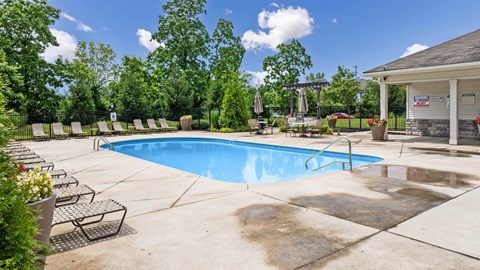 A pool surrounded by trees and a building in the background.