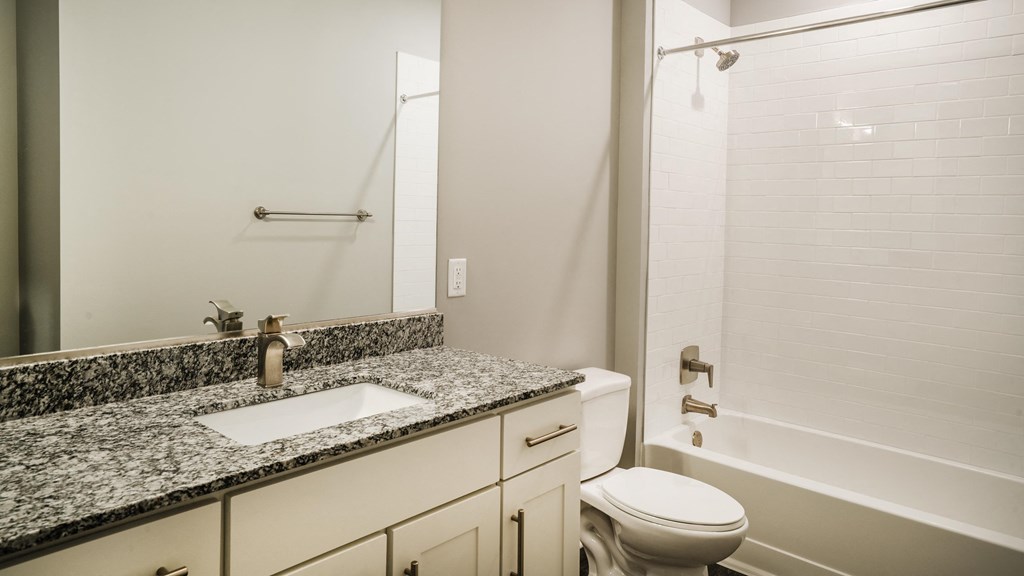 a bathroom with a sink and a toilet and a shower