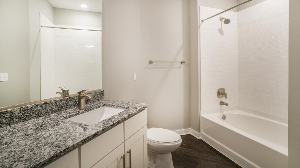 a bathroom with a sink and a toilet and a shower