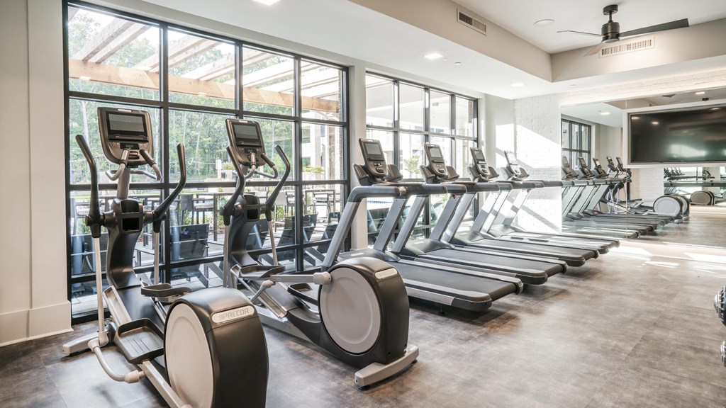 a gym with rows of cardio equipment and windows