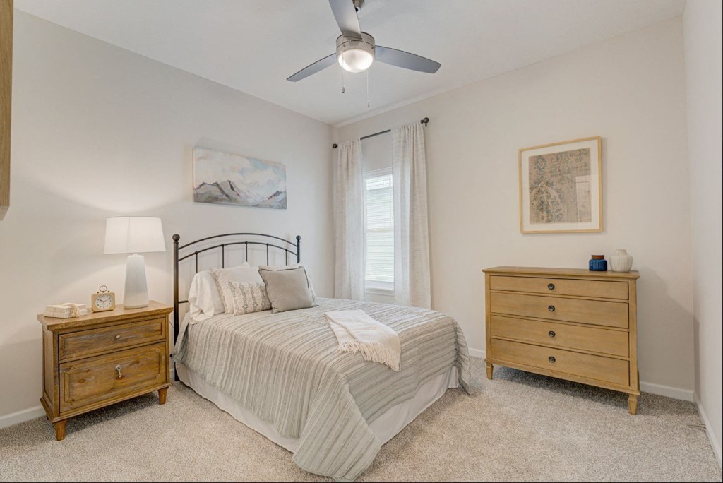 a bedroom with a bed and two dressers