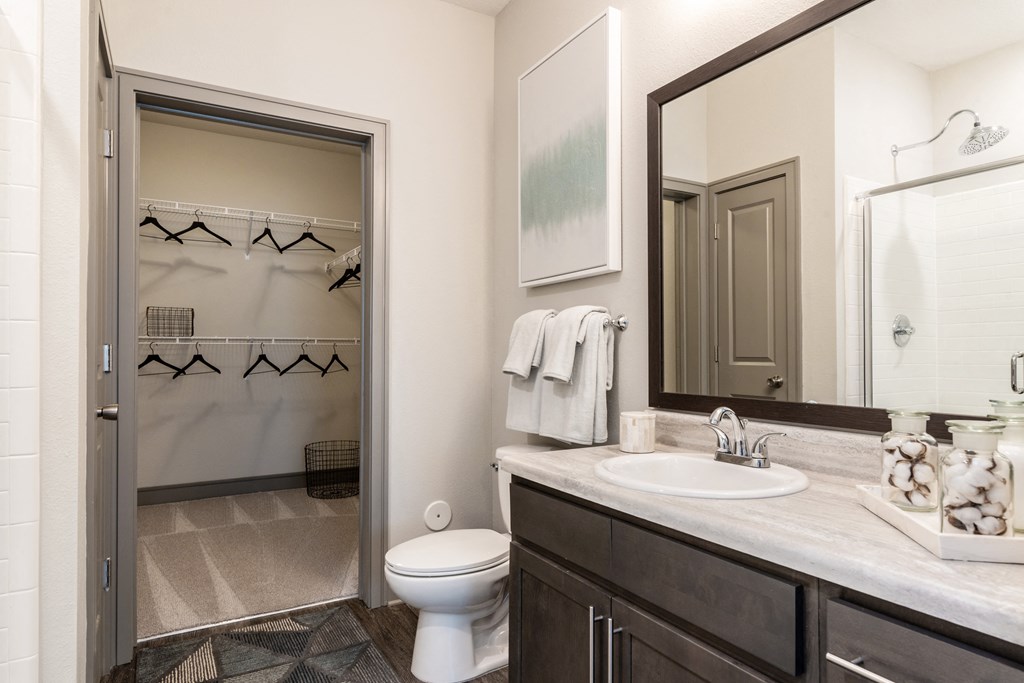 a bathroom with a shower toilet and sink and a mirror