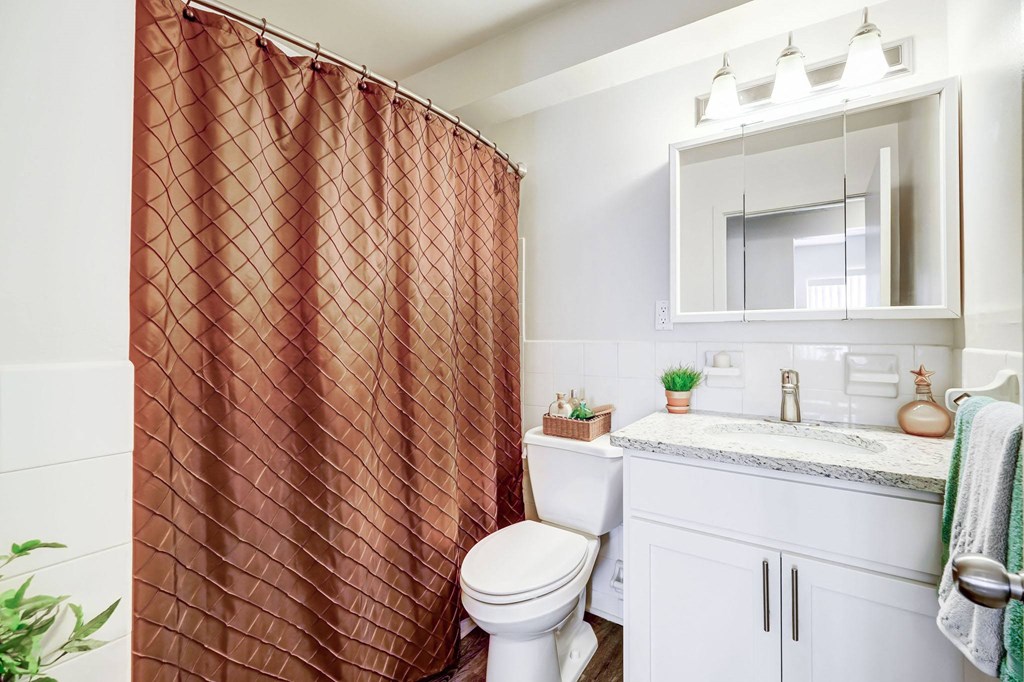 a bathroom with a shower and a toilet and a sink