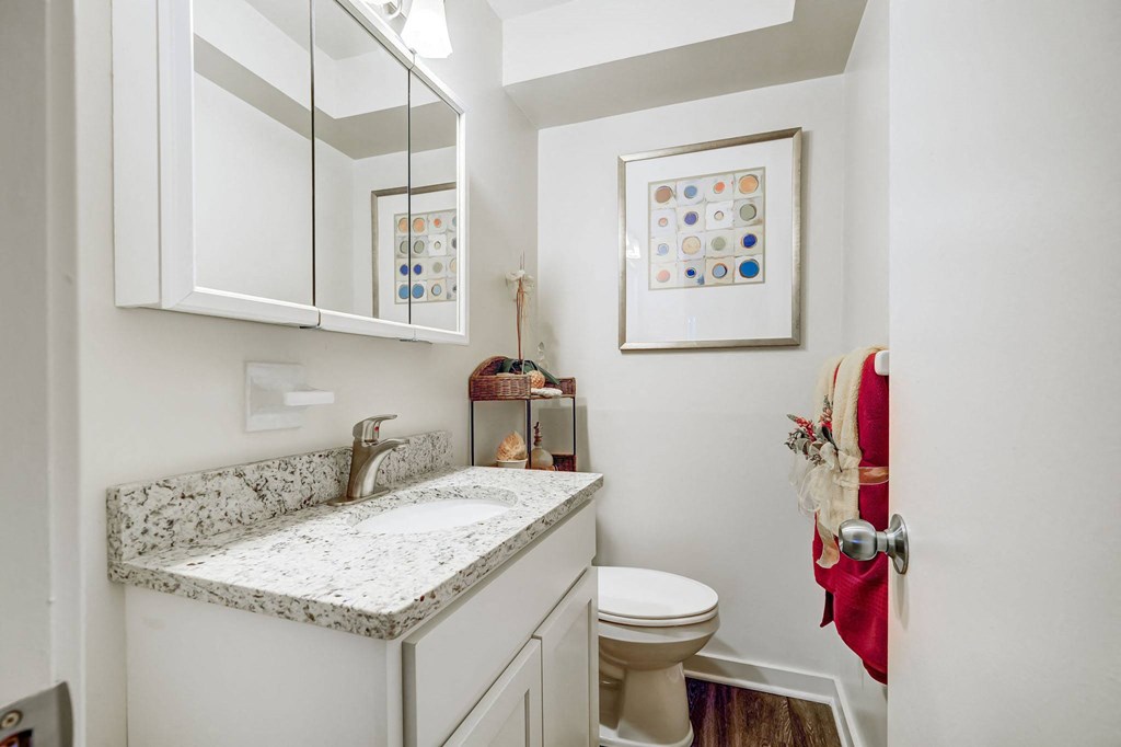 a bathroom with a sink and toilet and a mirror