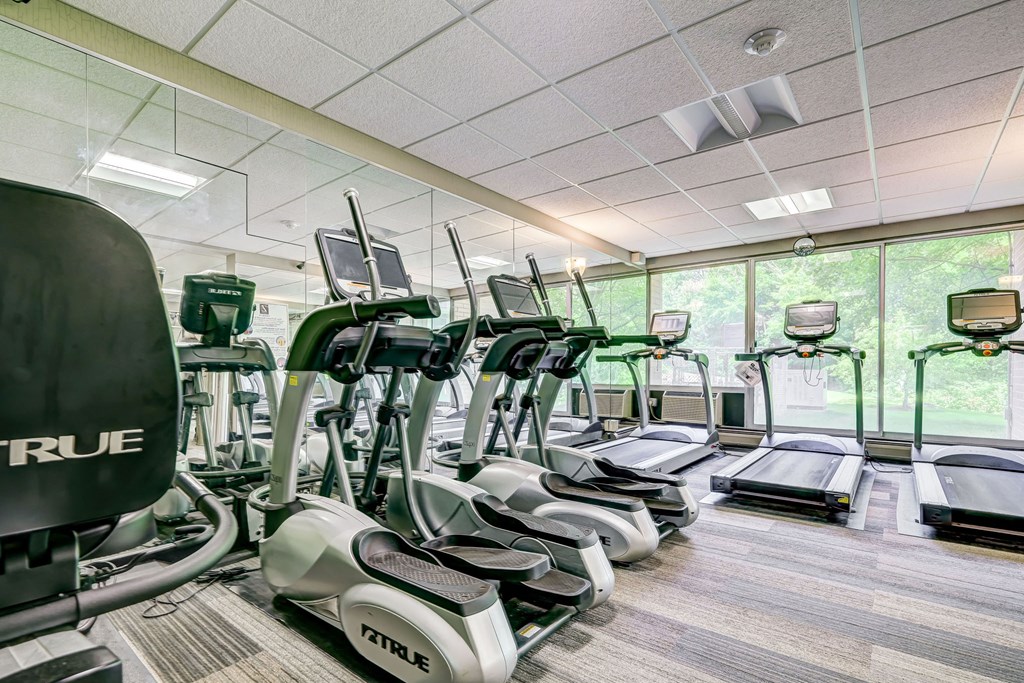 A gym with treadmills and exercise bikes.