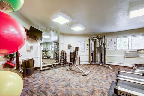 A gym with a variety of equipment including a treadmill, weights, and a squat rack.
