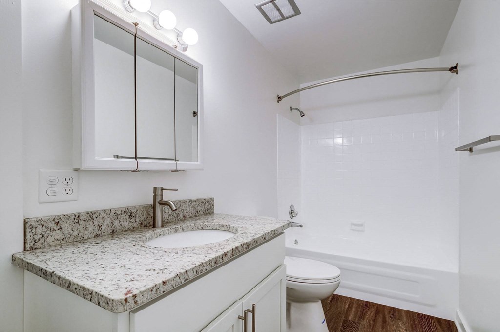 a bathroom with a sink and a toilet