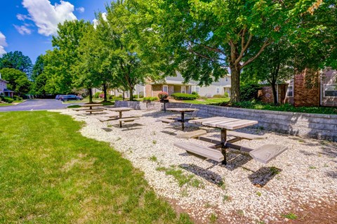 Picnic tables are set up in a grassy area.