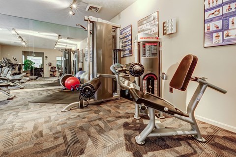 A gym with a variety of equipment including a weight machine, a bench, and a barbell.