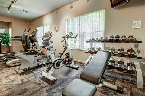A gym with a variety of equipment including treadmills, rowing machines, and dumbbells.