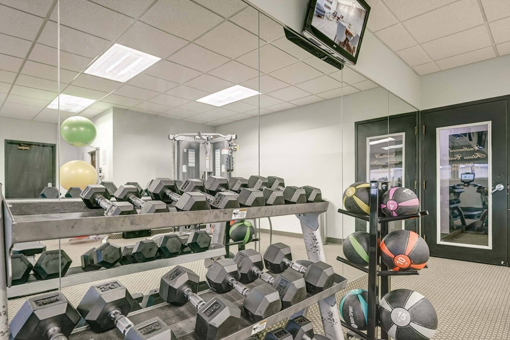 a gym with weights and a television