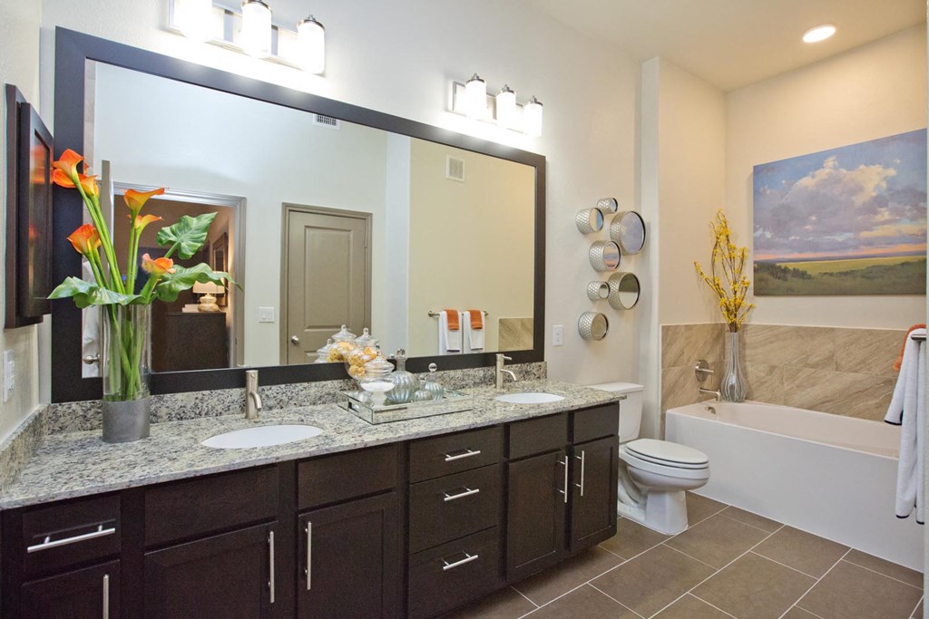 a bathroom with a sink and a toilet and a mirror