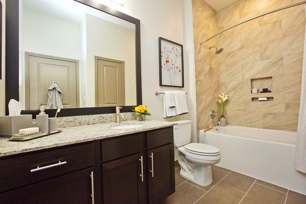 a bathroom with a mirror and a toilet and a tub