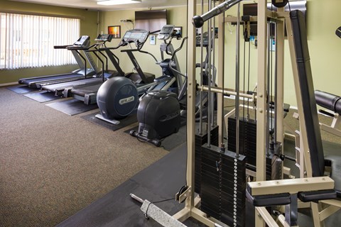 A gym with treadmills and weight machines.