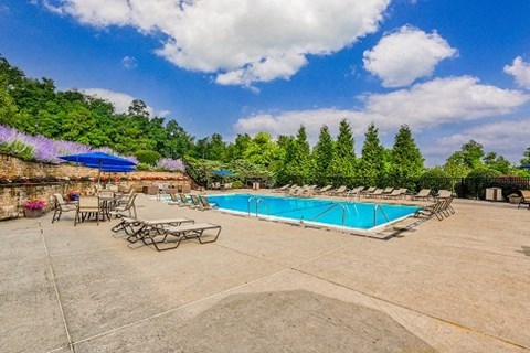 A large outdoor swimming pool surrounded by trees and lounge chairs.