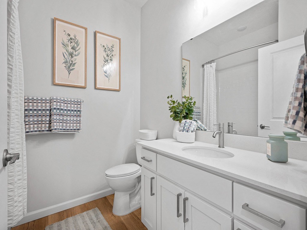 a bathroom with a sink and a toilet and a mirror