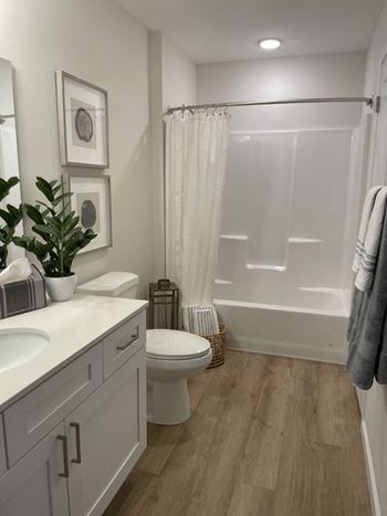 a bathroom with a toilet and a shower and a sink