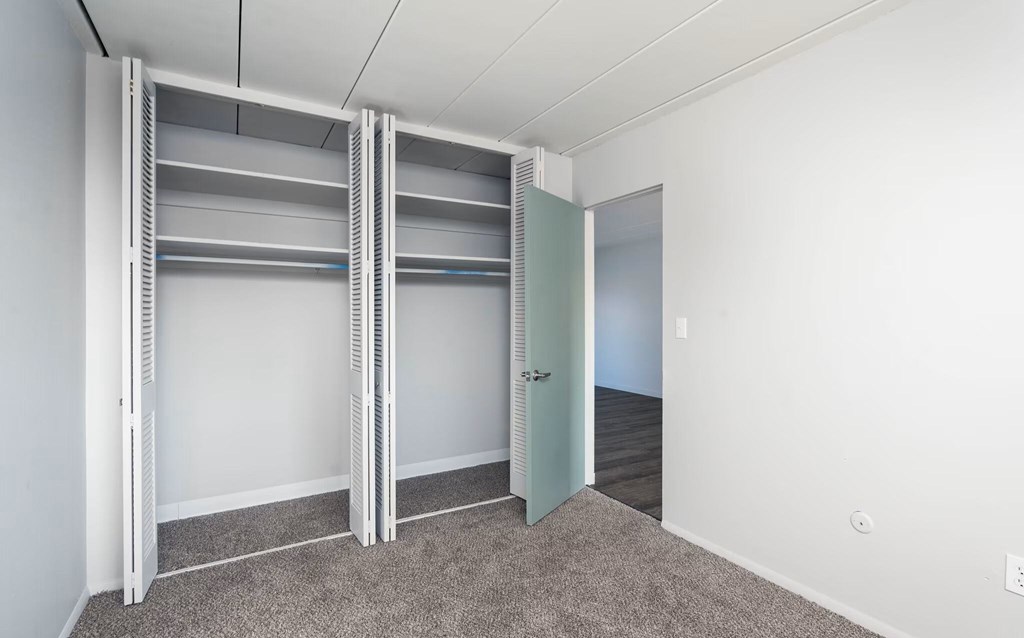 A room with a carpeted floor and a white wall with a door and a shelving unit.