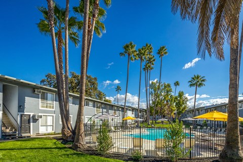 apartments with a swimming pool and palm trees