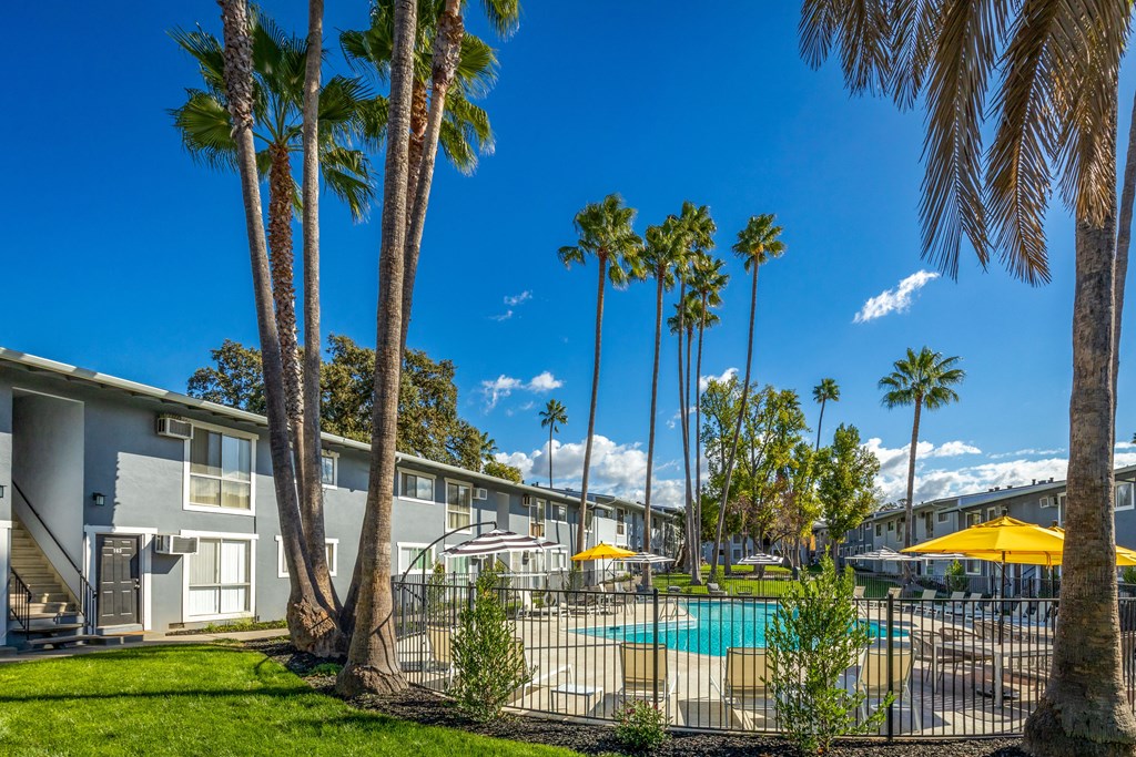 apartments with a swimming pool and palm trees