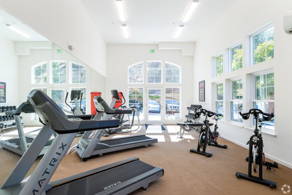 a gym with cardio equipment and windows