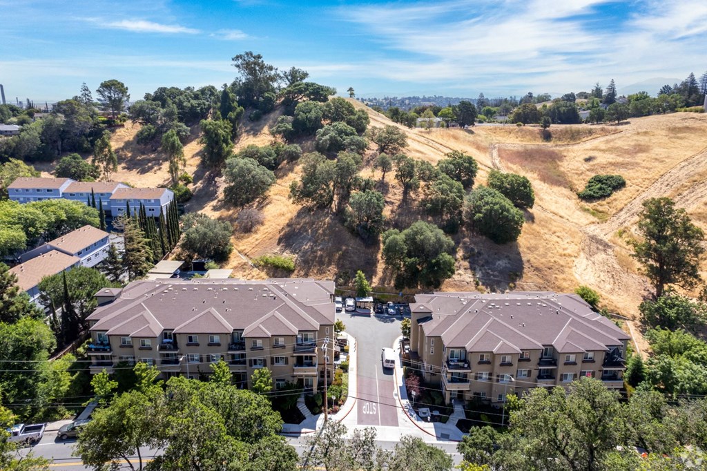 an aerial view of buildings with trees and a hill in the background