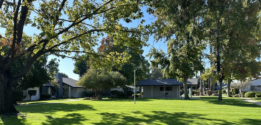 a group of houses in a field with trees