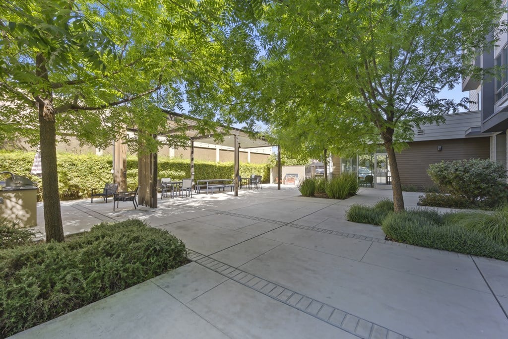 A tree-lined walkway leads to a building.