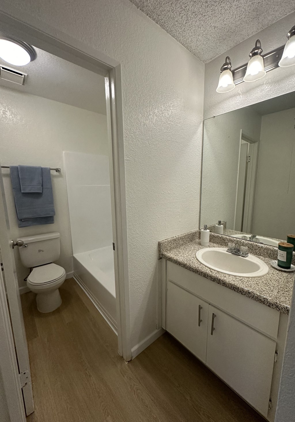 a bathroom with a sink and a toilet and a shower
