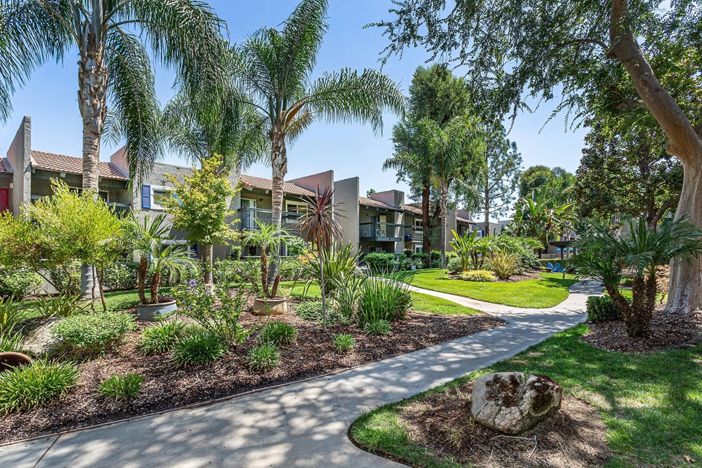 a street view of a community with trees and plants