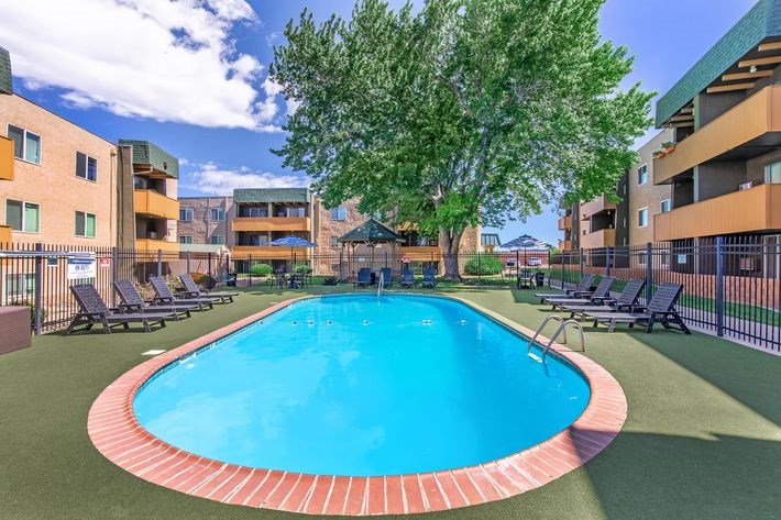 A swimming pool surrounded by sun loungers and trees.