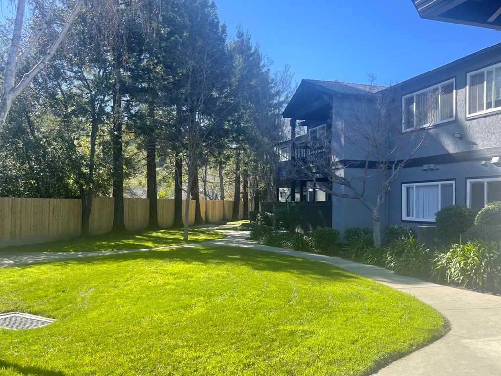 the backyard of a house with a yard and a sidewalk