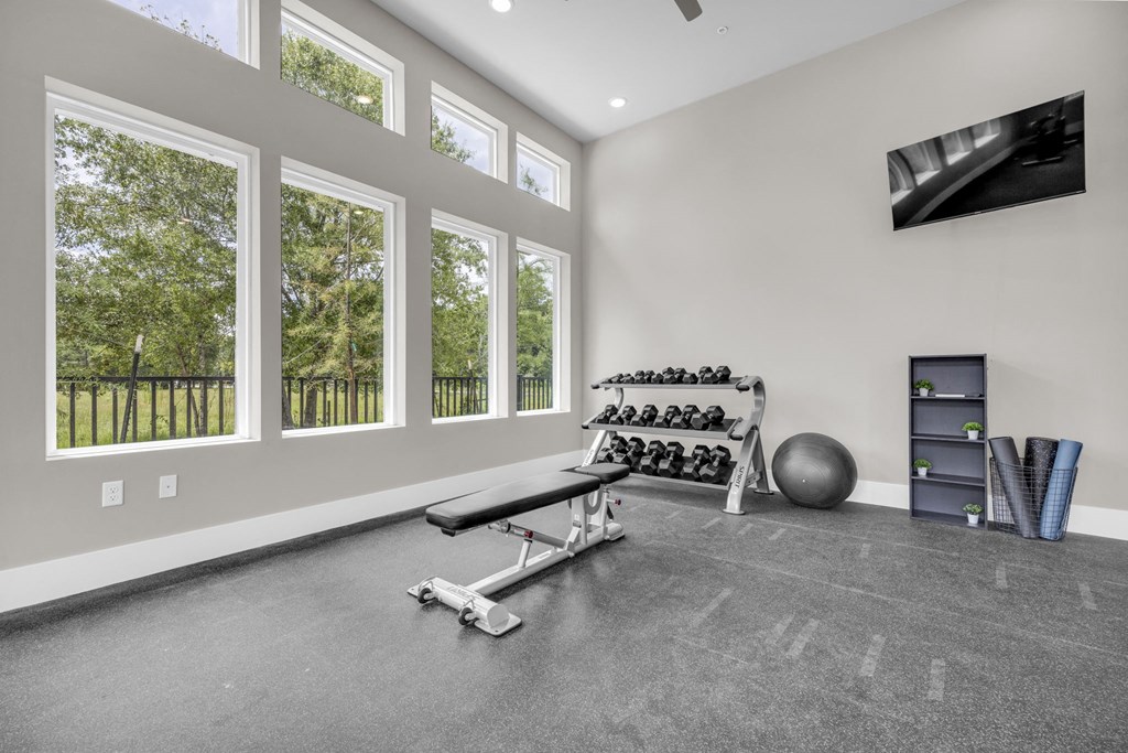 the exercise room is equipped with weights and cardio equipment and a tv
