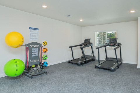 A gym with two treadmills and exercise balls.