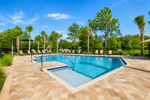 A swimming pool surrounded by palm trees and a clear blue sky.