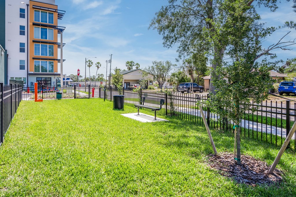 A tree is planted in a small garden in front of a fence.