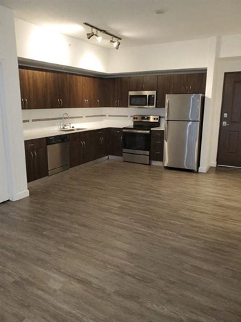 Open Kitchen - Photo Gallery 3